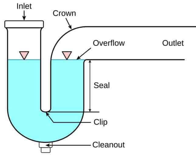 p trap diagram